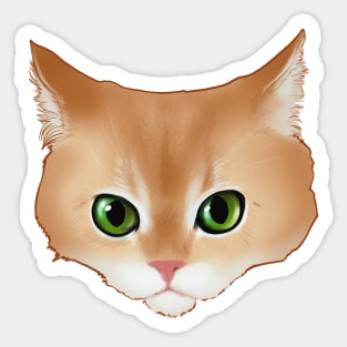 Funny Cat Muzzle Sticker